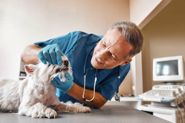 Best Emergency Root Canal Treatment in Hustisford, WI